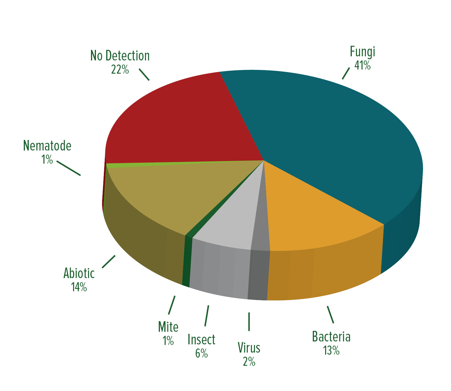 Pie Chart 2-01jpg
